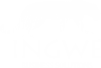 Ingwe Business Solutions Logo